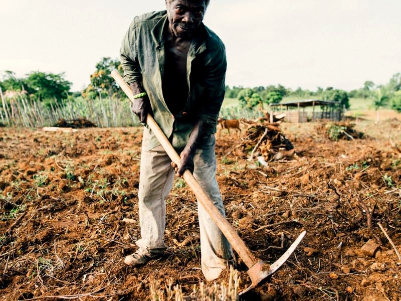 Black-owned farms & legacy in Atlanta